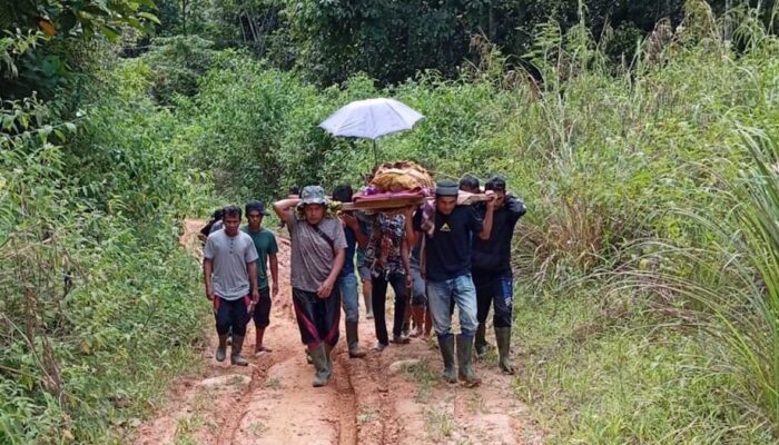 Bupati Solok Tanggapi Video Viral Jenazah Guru Ditandu 14 Kilometer, Jalan Belum Bisa Diperbaiki karena Hutan Lindung