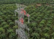 PLN Dorong Interkoneksi ASEAN Power Grid untuk Akselerasi Transisi Energi Bersih