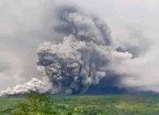 Gunung Semeru Erupsi, Ratusan Warga Dievakuasi ke Tiga Titik Pengungsian