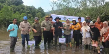 Penanaman mangrove oleh KKI Warsi di Sungai Pinang, Kabupaten Pesisir Selatan. (dok. istimewa)