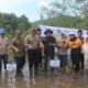 Penanaman mangrove oleh KKI Warsi di Sungai Pinang, Kabupaten Pesisir Selatan. (dok. istimewa)