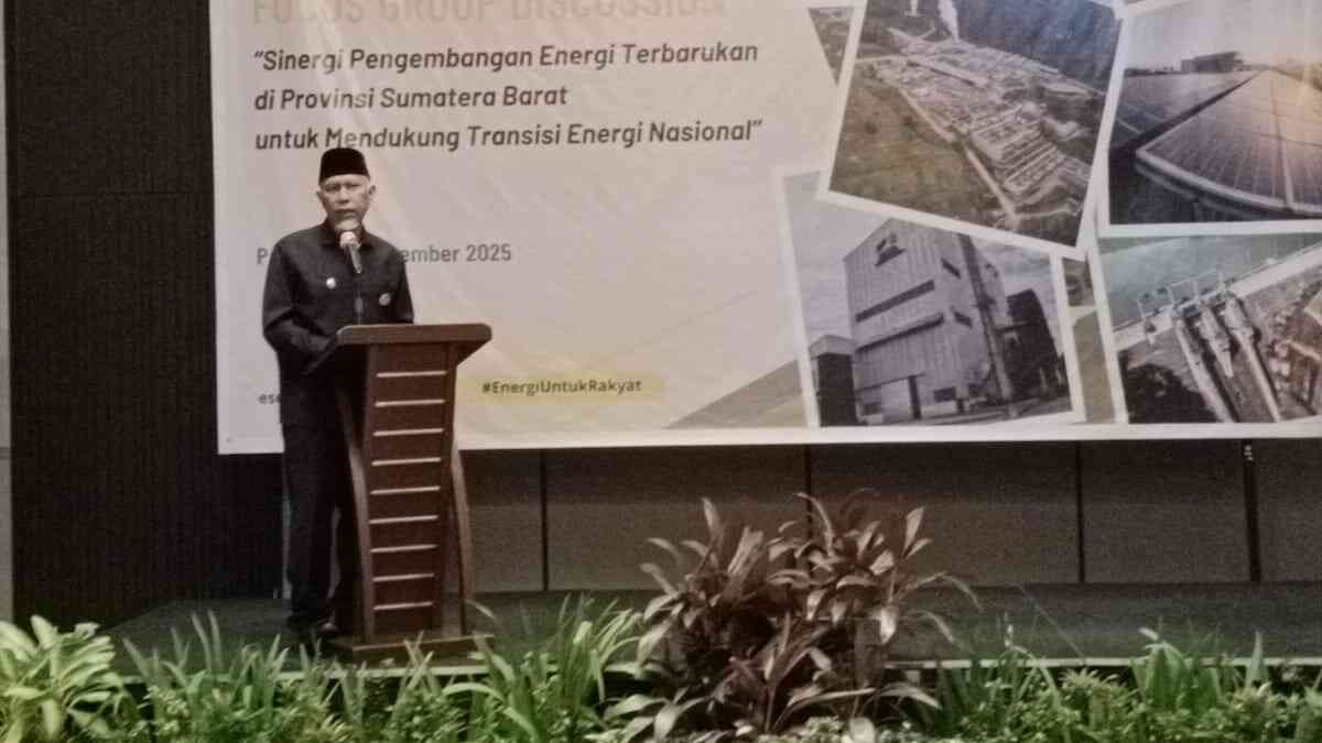 Gubernur Mahyeldi berbicara di FGD energi terbarukan yang digelar Kementerian ESDM. (dok. istimewa)