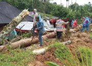 Bencana di Silungkang Palembayan, Jaringan Komunikasi dan Listrik Tumbang