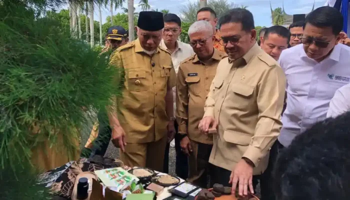 Mendag Lepas 27 Ton Gambir Sumbar ke India, Dorong Hilirisasi Sebagai Kekuatan Ekspor Baru