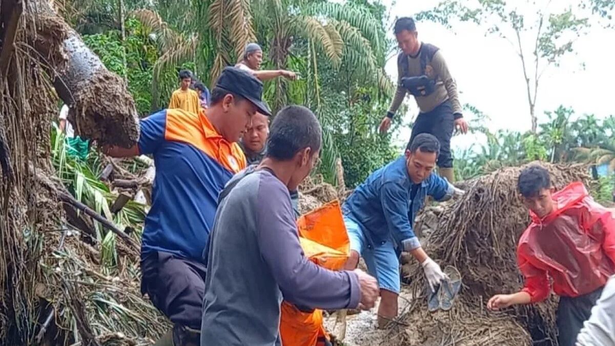 Petugas gabungan sedang mencari korban banjir bandang  di Salareh Aia, Kecamatan Palembayan, Kabupaten Agam. (Dok ANTARA/HO/BPBD Agam/Antara)