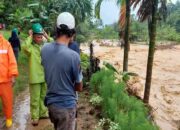 Banjir Batu Busuak, PT Semen Padang Kirim Relawan Bantu Warga Terdampak