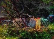 Hujan dan Angin Kencang di Padang, Pohon Mangga Tumbang Timpa Kandang Ayam