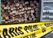 Illegal Logging di Cagar Alam Maninjau, 148 Batang Kayu Disita, Dua Orang Diamankan