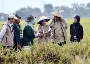 Menteri Komunikasi dan Digital Meutya Hafid dalam kegiatan Panen Tani Digital di Kabupaten Sragen, Rabu (5/11/2025) mengatakan program Tani Digital merupakan kolaborasi antara Kemkomdigi, Kementerian Pertanian, Pemerintah Kabupaten Sragen, dan mitra penyedia teknologi dalam upaya memperkuat ketahanan pangan nasional berbasis data. (Foto: Humas Kemkomdigi)