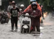 BMKG Imbau Warga Pesisir Sumbar Waspadai Banjir Rob 3-7 Desember