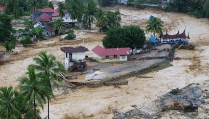 Pemerintah Cabut Izin Sawit dan Pemanfaatan Kayu, Tata Kelola SDA Diperketat Pascabencana