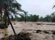 Sungai Batang Nanggang Agam Meluap, Akses Jalan Provinsi Ditutup Sementara