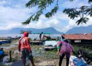 Bencana Hidrometeorologi, Ribuan Ton Ikan Keramba Mati di Danau Maninjau