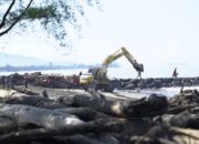 Gubernur Sumbar Bersama Wamen Kehutanan Gotong Royong Bersihkan Pantai Morgan