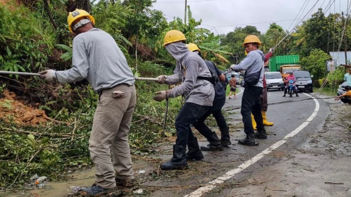 Petugas PLN berusaha memulihkan jaringan listrik di Lembah Gumanti, Kabupaten Solok. (dok. istimewa)