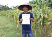 Reforma Agraria Lahirkan Regenerasi dan Kreativitas Petani Muda di Desa Soso