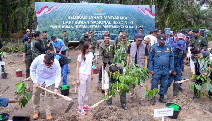 Upaya Kembalikan Fungsi Hutan, Pemerintah Mulai Relokasi Masyarakat dari Taman Nasional Tesso Nilo