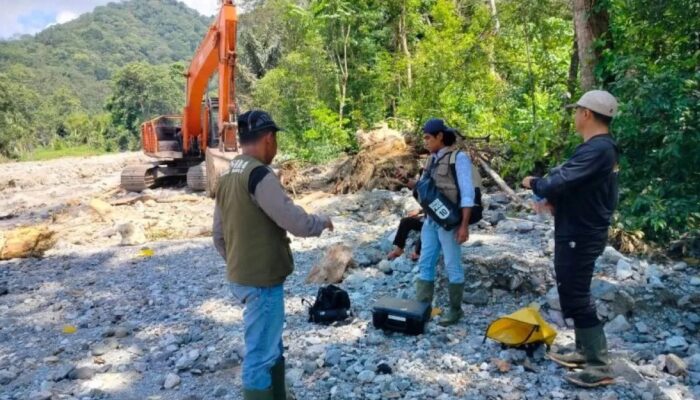 BKSDA Pastikan Satwa yang Muncul di Lokasi Banjir Bandang Agam Adalah Binturong