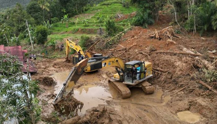 Biaya Pemulihan Tiga Provinsi Terdampak Bencana Ditaksir Rp51,82 Triliun