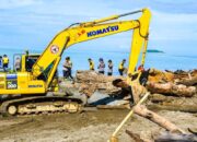 Semen Padang Turun Tangan Bersihkan Kayu di Pantai Parupuk Tabing, Target 3 Hari Bersih!