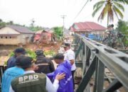 Bupati Solok Tinjau Progres Jembatan Bailey di Sawah Suduik
