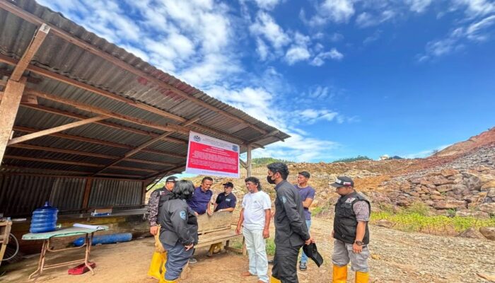 Tak Mau Berspekulasi, Wamenhut Janji Buka Hasil Audit PBPH ke Publik