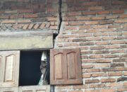 Gempa M 4,7 Guncang Bonjol Pasaman, Dipicu Aktifitas Sesar Kajai-Talamau