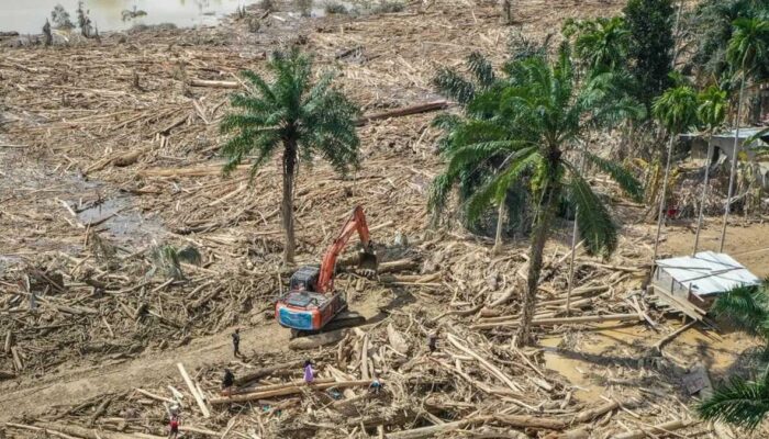 Bareskrim Polri Fokus Selidiki Aktivitas Panglong dan Illegal Logging di Aceh