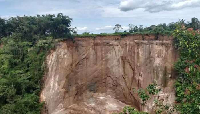 Hujan Deras, Tebing Ngarai Sianok Longsor