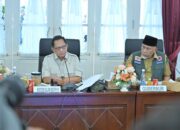Mendagri Dorong Kepala Daerah Manfaatkan Program Nasional 300 Ribu Jembatan Gantung