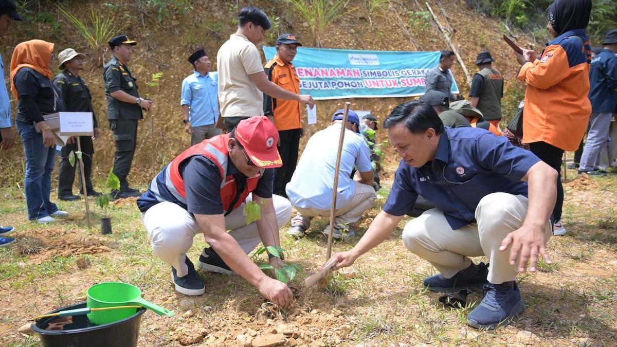PT Semen Padang gelar penanaman simbolis sejuta pohon untuk Sumbar. (dok. Humas)