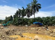 Tim Terpadu Terus Bergerak, Penertiban Aktivitas PETI di Sumbar Belum Berhenti