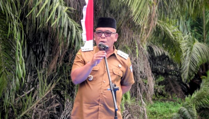 Pemkab Pasbar Bantah Illegal Logging, Penebangan Sengon di Hutan Kota Padang Tujuh untuk Revitalisasi RTH
