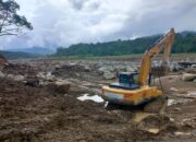 Sawah Rusak Diterjang Banjir, Petani di Palembayan Agam Beralih Tanam Jagung