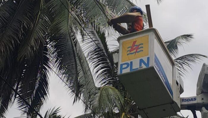 Siap Hadirkan Listrik Andal di Bulan Suci, PLN Gencarkan Pembersihan Jaringan
