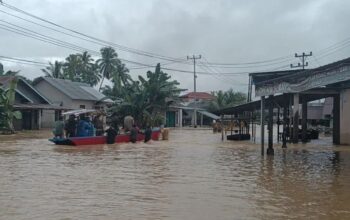 Banjir akibat luapan Sungai Batang Pasaman, Kecamatan Pasaman, Kabupaten Pasaman pada akhir November 2025 lalu. Saat ini masyarakat diminta waspada karena tingginya curah hujan. (ANTARA/Altas Maulana)