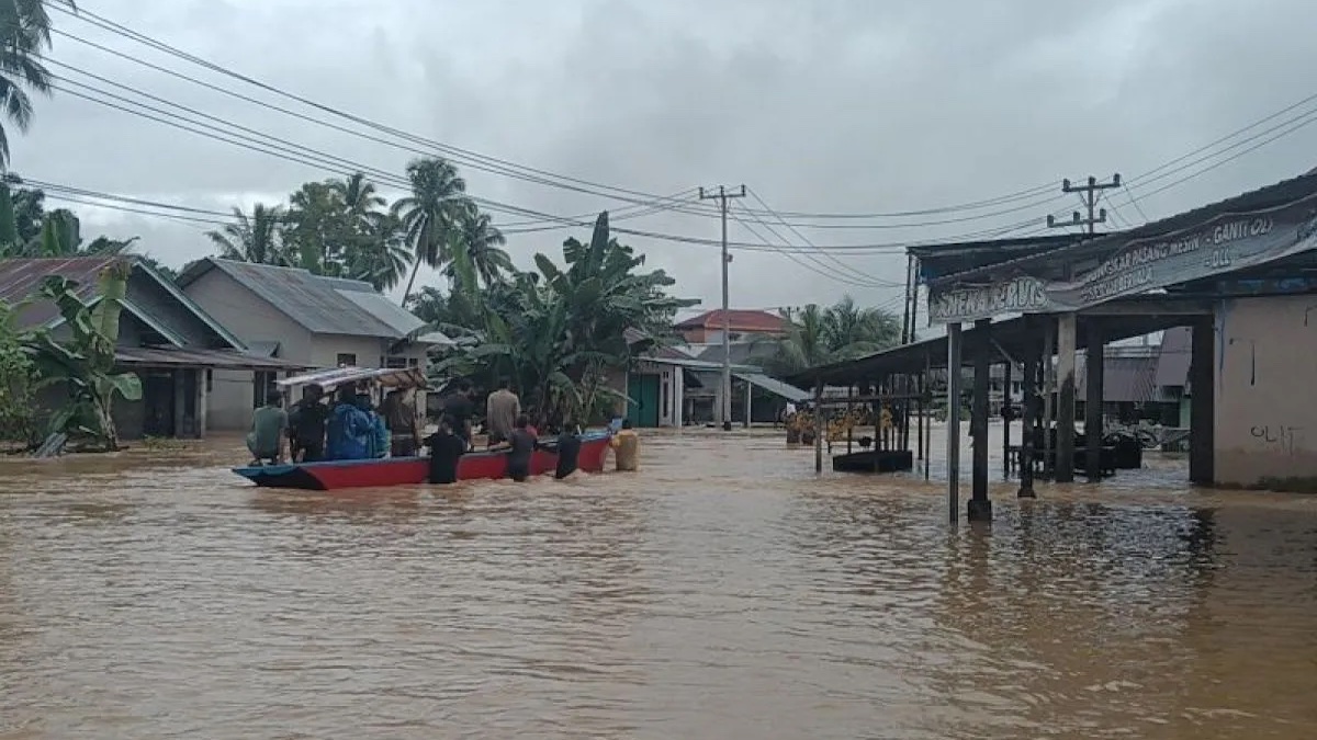 Banjir akibat luapan Sungai Batang Pasaman, Kecamatan Pasaman, Kabupaten Pasaman pada akhir November 2025 lalu. Saat ini masyarakat diminta waspada karena tingginya curah hujan. (ANTARA/Altas Maulana)