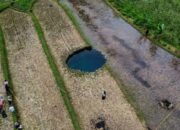 Misteri Sinkhole Situjuah Batua, Sungai Bawah Tanah Terindikasi di Sekitar Lokasi