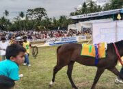 Pemkab Padang Pariaman Siapkan Pacu Kudo 2026 Saat Lebaran, Dongkrak Ekonomi Warga