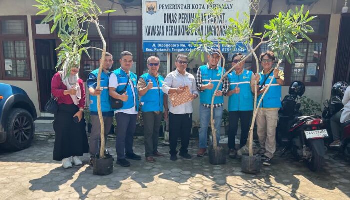 PLN Serahkan Bantuan Bibit Tabebuya untuk Penghijauan Kota Pariaman