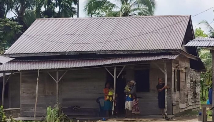 Gempa Simeulue Hari Ini Jangkau Pulau Nias, Ini Kata BPBD Gunungsitoli