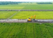 Dorong Ketahanan Pangan, Kementan Kucurkan Rp5,6 Miliar ke Dharmasraya