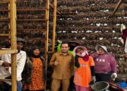 Pemkab Solok Fokus Sinergi Pertanian dan Wisata di Alahan Panjang