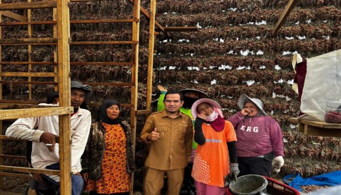 Pemkab Solok Fokus Sinergi Pertanian dan Wisata di Alahan Panjang