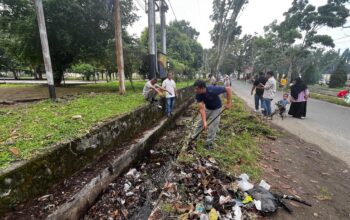Goro massal di Pasaman Barat (Pasbar). (dok. istimewa)