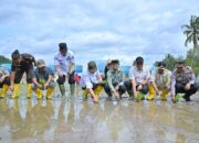 Pemprov Sumbar Siapkan Langkah Strategis untuk Percepat Proses Rehabilitasi Sawah Terdampak Bencana