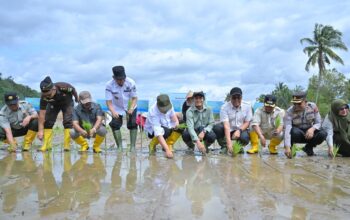 Pemprov Sumbar Siapkan Langkah Strategis untuk Percepat Proses Rehabilitasi Sawah Terdampak Bencana