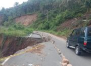 Kendaraan sedang melewati ruas jalan Padang Koto gadang-Palembayan tempatnya di Ngungun, Nagari Salareh Aia, Kecamatan Palembayan, Kabupaten Agam, Jumat (3/4/2026). (ANTARA/Yusrizal)