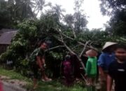 Tim gabungan Pemkab Agam sedang membersihkan material pohon menimpa warung warga di Jorong Angge, Nagari Pasia Laweh, Kecamatan Palupuh, Selasa (14/4/2026). (ANTARA/HO/BPBD Agam)
