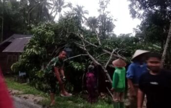 Tim gabungan Pemkab Agam sedang membersihkan material pohon menimpa warung warga di Jorong Angge, Nagari Pasia Laweh, Kecamatan Palupuh, Selasa (14/4/2026). (ANTARA/HO/BPBD Agam)